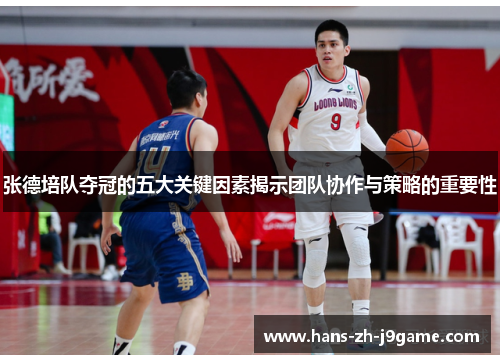 张德培队夺冠的五大关键因素揭示团队协作与策略的重要性