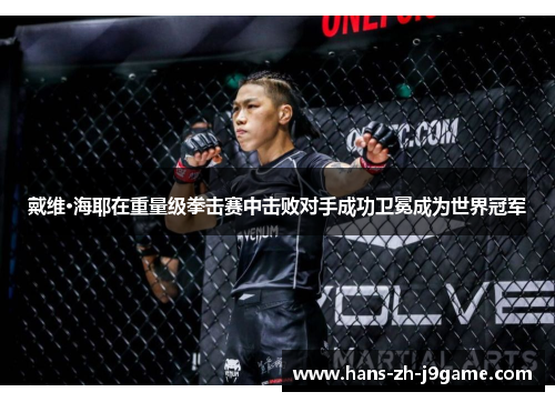 戴维·海耶在重量级拳击赛中击败对手成功卫冕成为世界冠军 戴维·海耶在重量级拳击赛中击败对手成功卫冕成为世界冠军